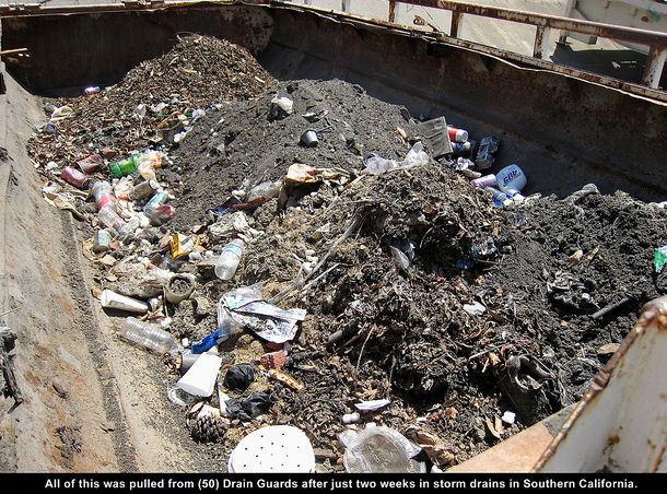 waste collected from drain guards